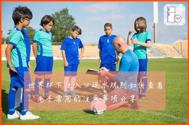 世界杯下注入口返水规则如何查看？老手常用的注意事项分享