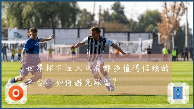 世界杯下注入口有哪些值得信赖的平台，如何避免踩雷？