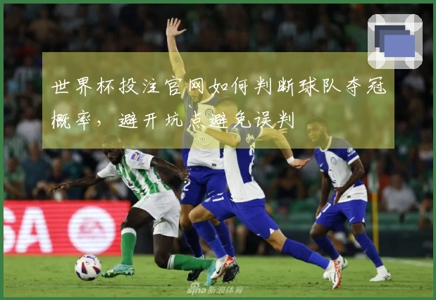世界杯投注官网如何判断球队夺冠概率，避开坑点避免误判